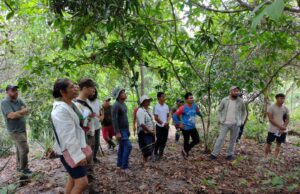 Saberes Ancestrales y Sostenibilidad: Diálogo con la Tierra