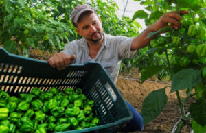 Agroemprendedores Verdes: Jóvenes que Cultivan con Propósito