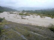 Cuando la Naturaleza Habla: Documentar para Conservar