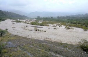 Cuando la Naturaleza Habla: Documentar para Conservar