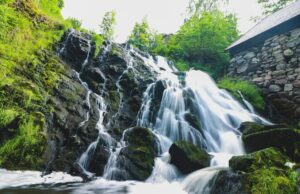 Ríos que Resisten: Historias de Agua y Esperanza