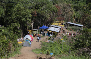 Comunidades que Resisten: La Fuerza Colectiva del Caribe Rural