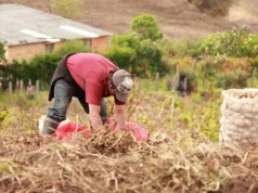 Agua y Cambio Climático: ¿Cómo se Adaptan las Zonas Rurales?