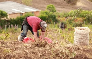 Agua y Cambio Climático: ¿Cómo se Adaptan las Zonas Rurales?