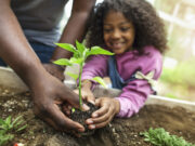 No Hay Desarrollo Sin Medio Ambiente: Un Llamado a la Coherencia
