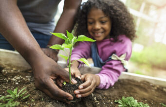 No Hay Desarrollo Sin Medio Ambiente: Un Llamado a la Coherencia