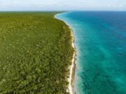 Santuarios Vivos: Áreas Protegidas que Inspiran